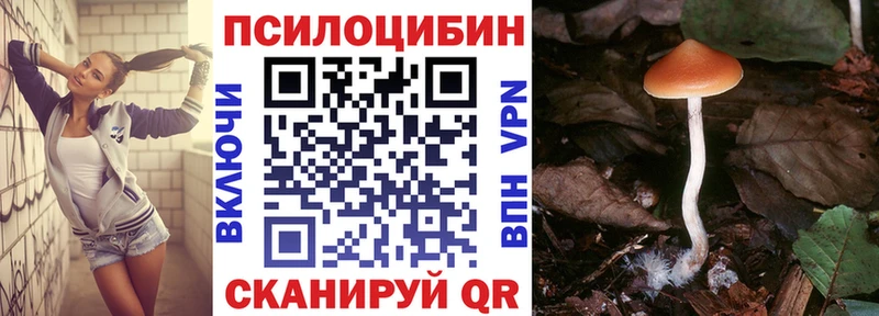 Купить  Сыктывкар  Галлюциногенные грибы Magic Shrooms 